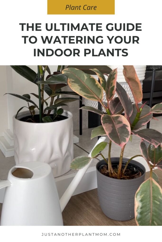 The Ultimate Guide to Watering Your Indoor Plants