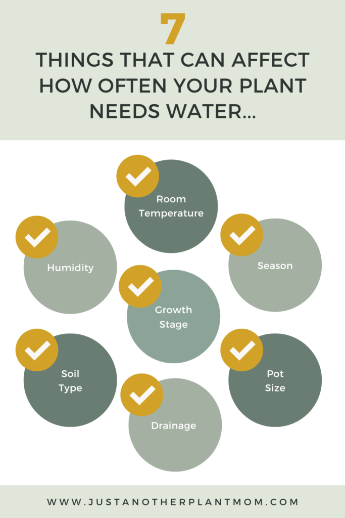 7 things that can affect how often your plant needs water