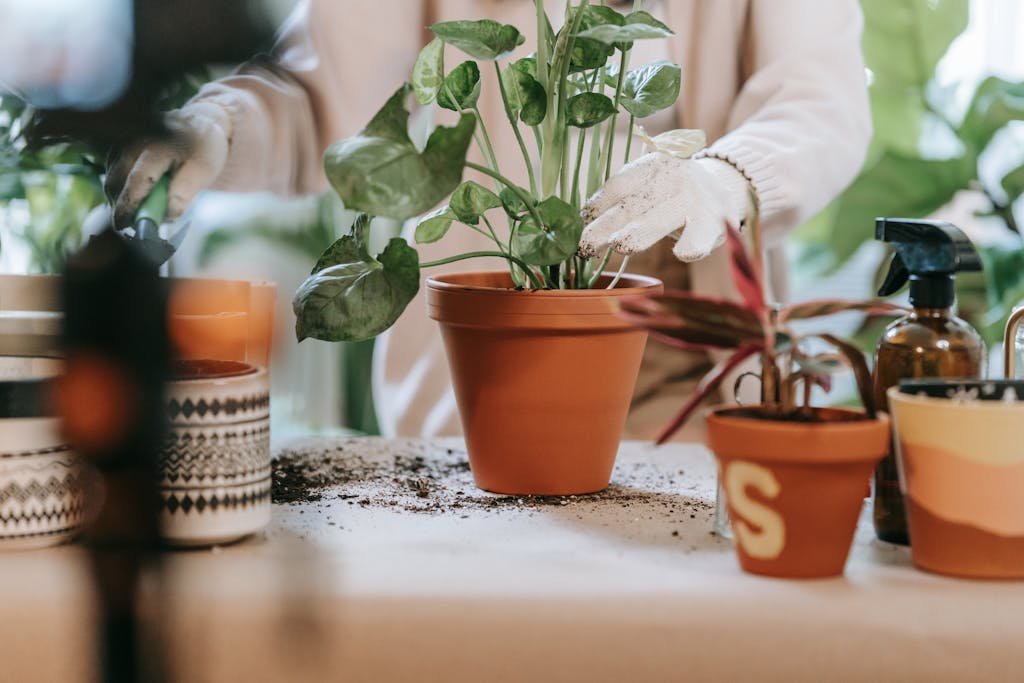 A Person Planting Plants on Pots