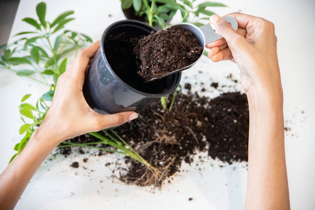 House plant potting soil mix recipe